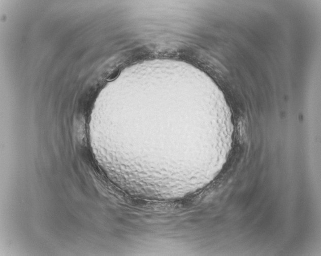 X0000059050963200511041658