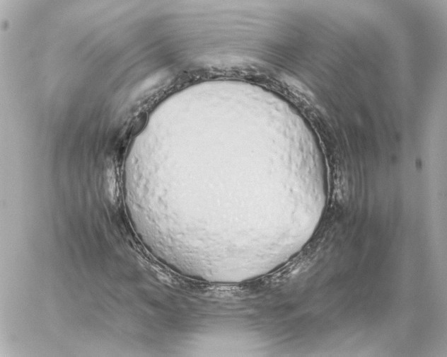 X0000059050966200511041658