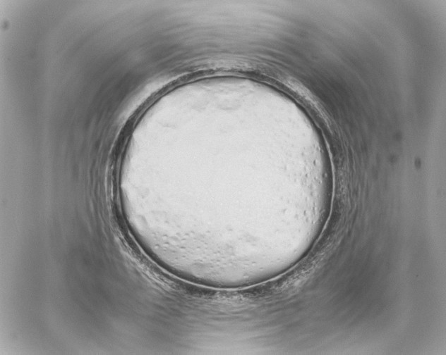 X0000059050983200511041658