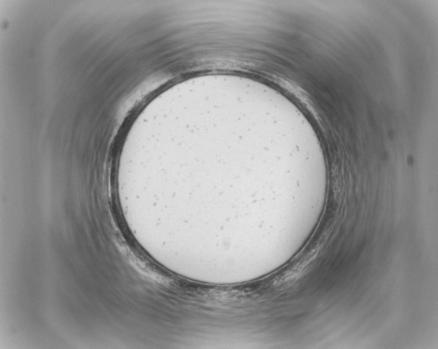 X0000059050987200511041658