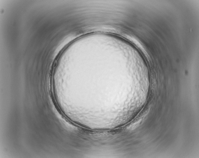 X0000059050999200511041658