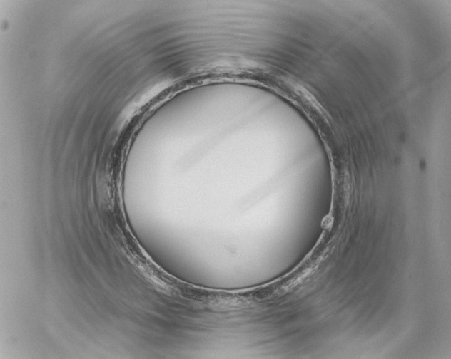 X0000059051018200511041657