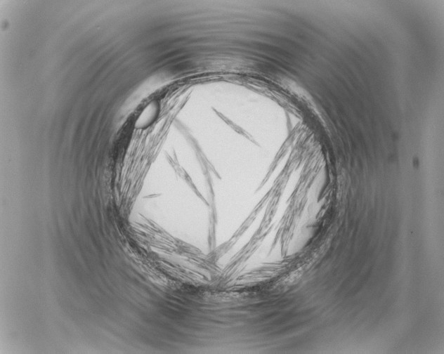X0000059051019200511041657