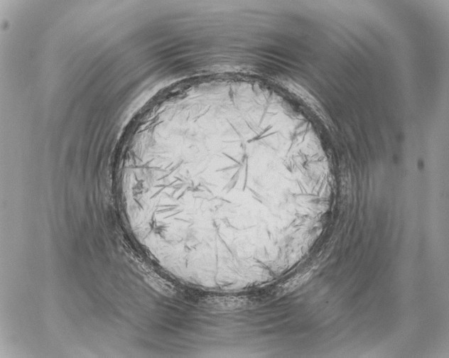 X0000059051023200511041657
