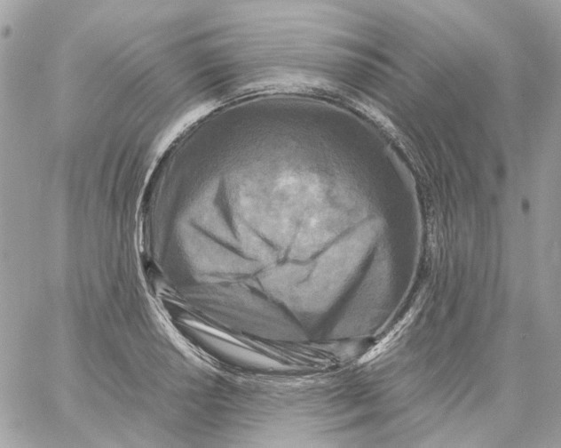 X0000059051034200511041657