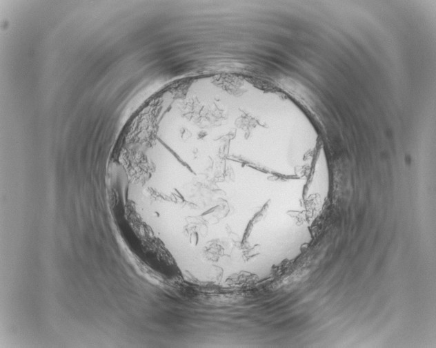 X0000059051047200511041657
