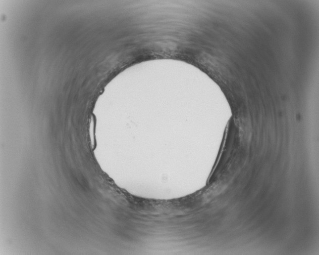 X0000059051057200511041657
