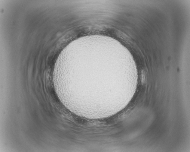 X0000059051059200511041657
