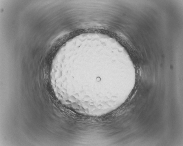X0000059051063200511041657