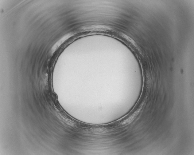 X0000059051066200511041656