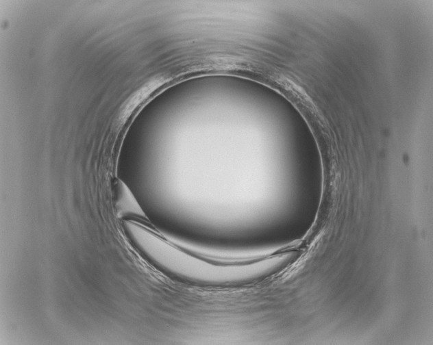 X0000059051081200511041656