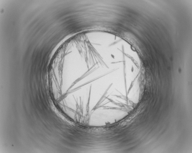 X0000059051092200511041656