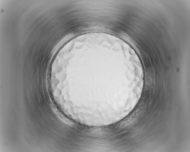X0000059051098200511041656