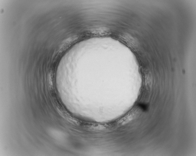 X0000059051106200511041655