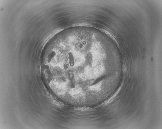 X0000059051117200511041655