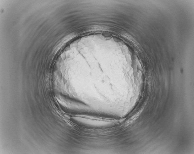 X0000059051121200511041655