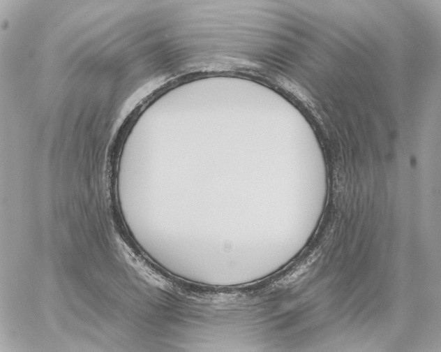 X0000059051122200511041655