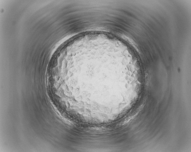 X0000059051125200511041655