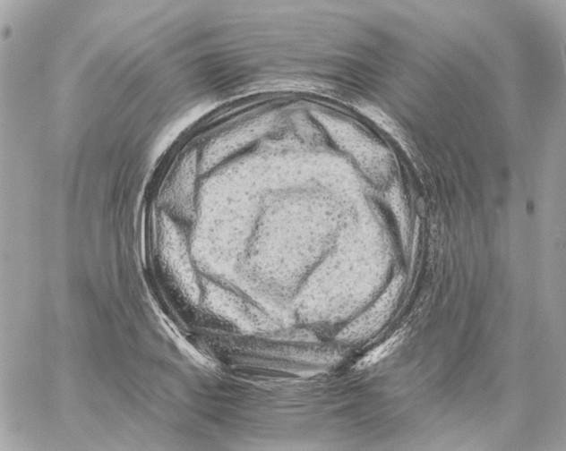 X0000059051127200511041655