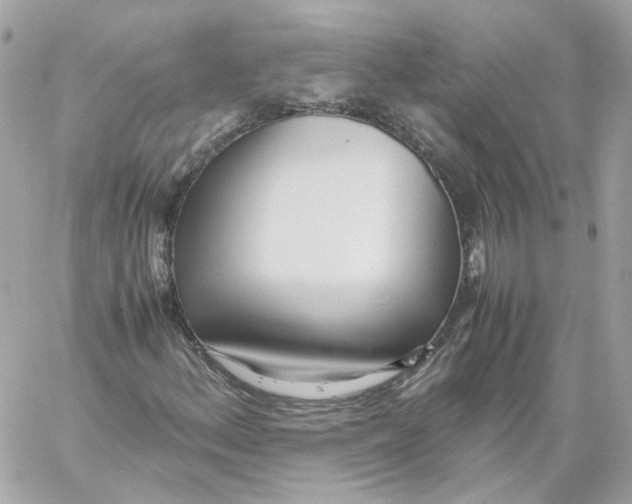 X0000059051156200511041655