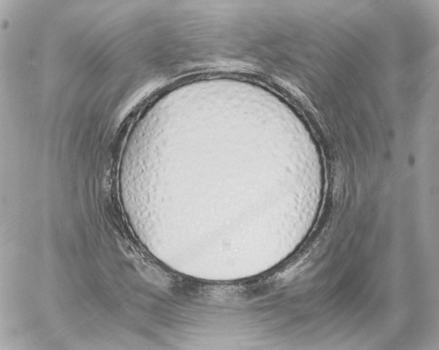 X0000059051163200511041655