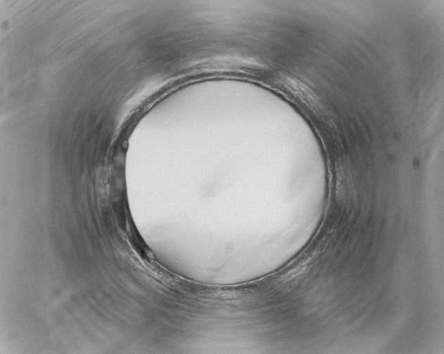 X0000059051164200511041655