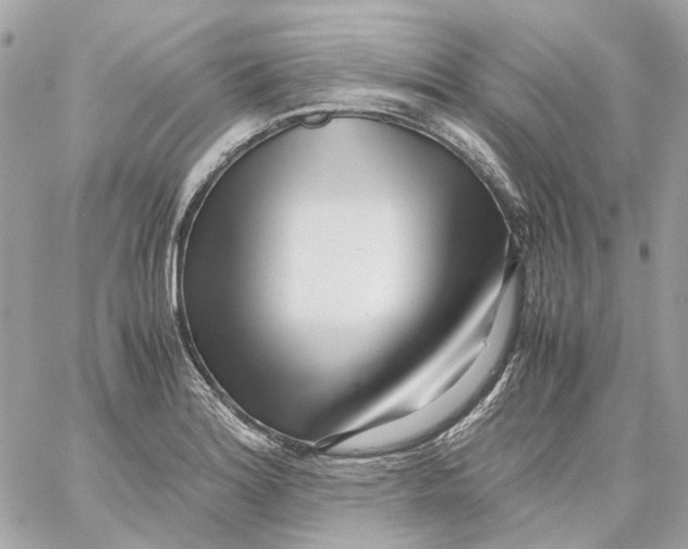 X0000059051180200511041654