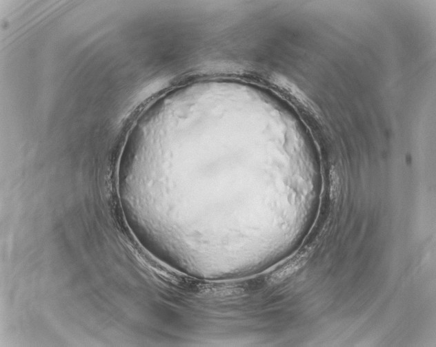 X0000059051213200511041654