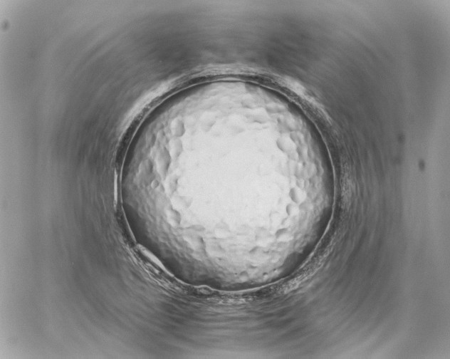 X0000059051221200511041654
