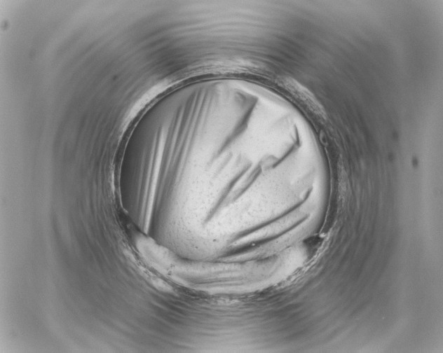 X0000059051226200511041654