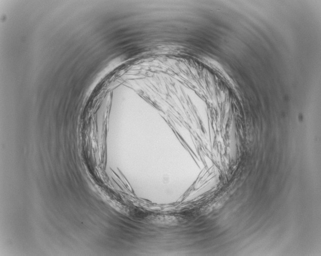 X0000059051235200511041654