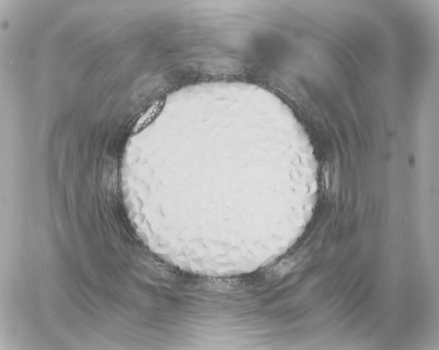 X0000059051251200511041653