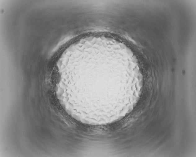X0000059051255200511041653