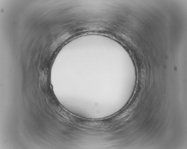 X0000059051257200511041653
