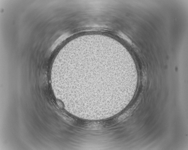 X0000059051259200511041653