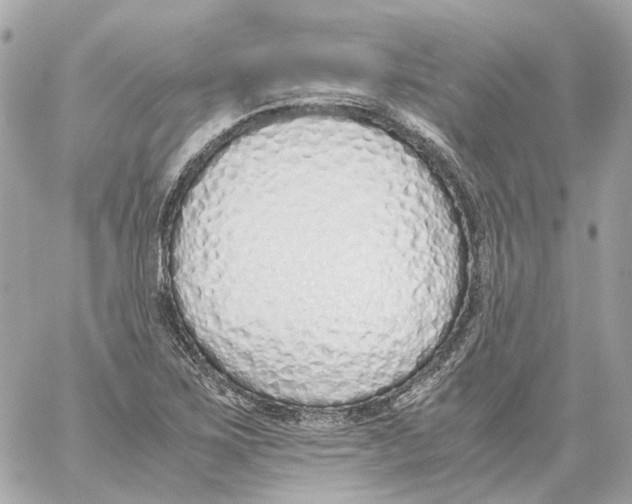 X0000059051267200511041653