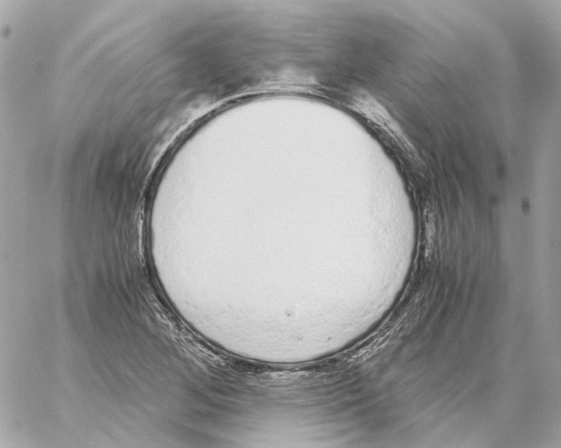 X0000059051268200511041653