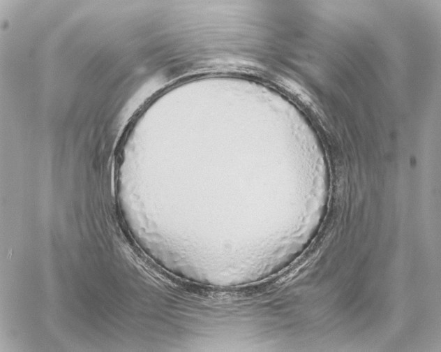 X0000059051275200511041653