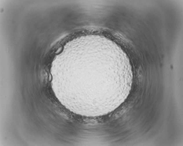 X0000059051302200511041652