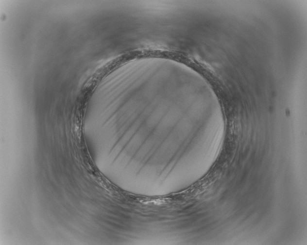 X0000059051303200511041652