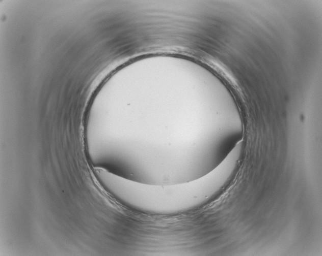 X0000059051332200511041652