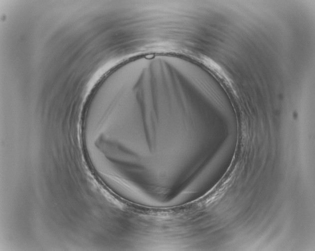 X0000059051334200511041652