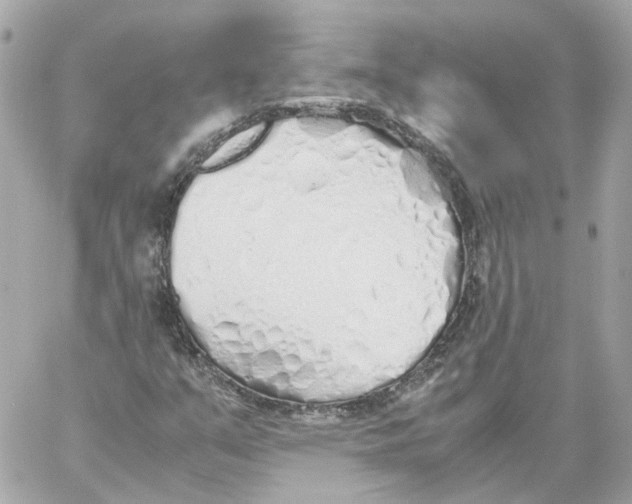 X0000059051351200511041652