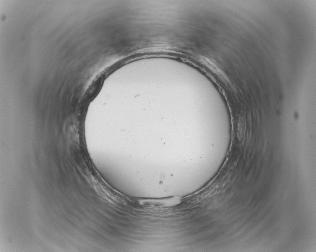 X0000059051356200511041652