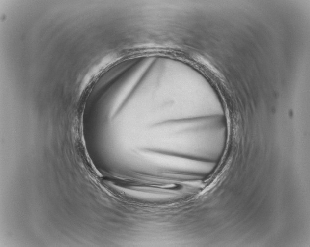 X0000059051357200511041652
