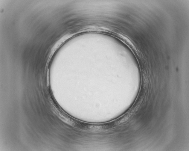 X0000059051371200511041651