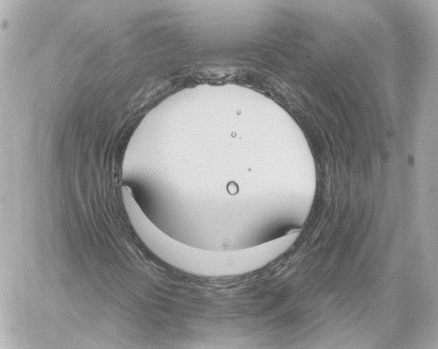 X0000059051394200511041650