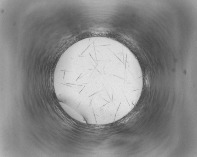 X0000059051396200511041650