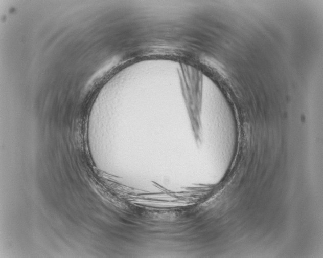 X0000059051403200511041650