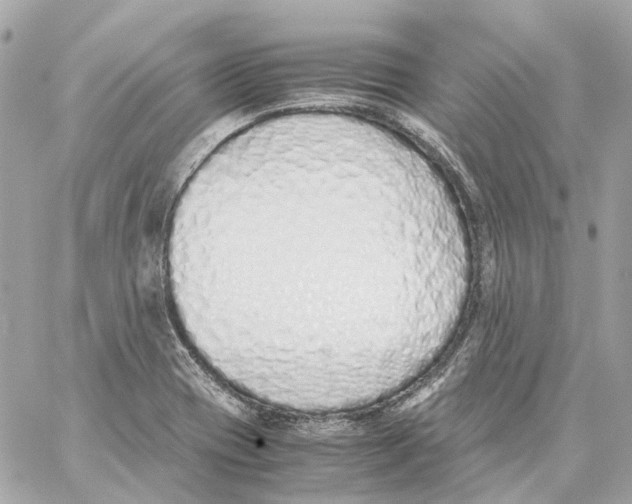 X0000059051417200511041651